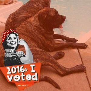 Meet your Posher, Tara